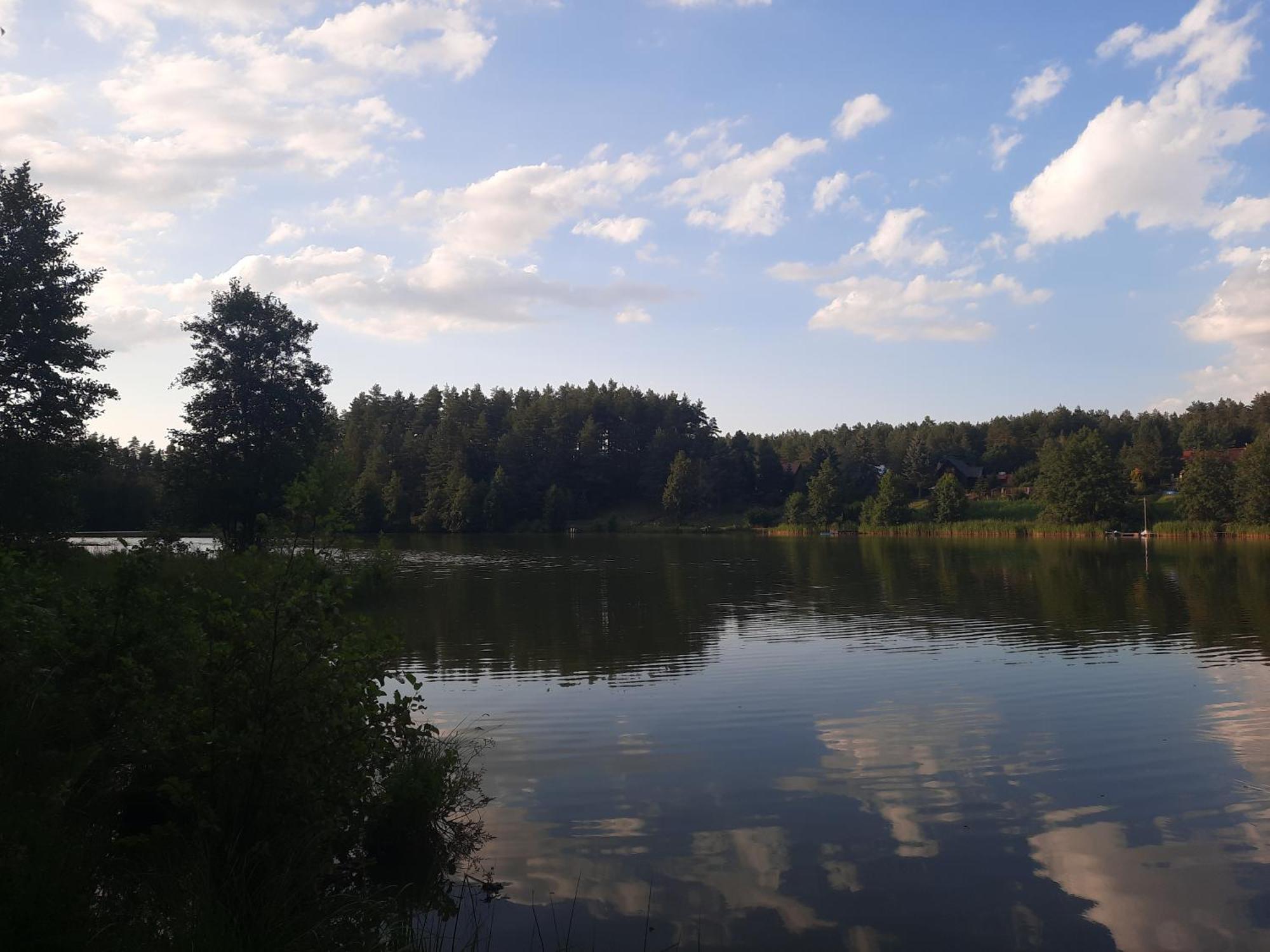 Echo Lasu Guzowy Piec